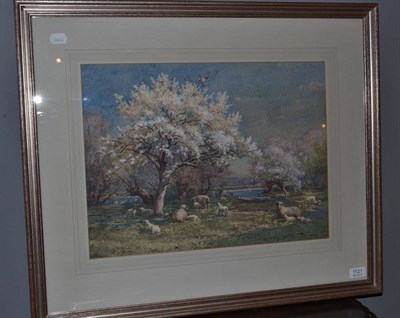 Lot 1121 - William Kay Blacklock (ex.1897-1921) Sheep grazing under blossom trees in a river landscape, signed