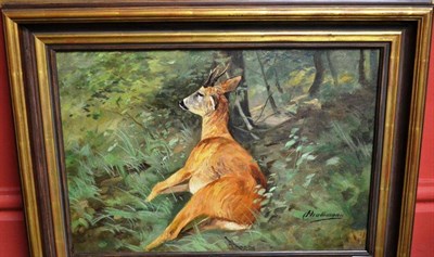 Lot 1197 - Prof Johann Christopher Drahtmann (German 1856-1932) ";Liegender Bock";, lying stag, signed, oil on