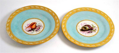 Lot 542 - Pair of Flight Barr & Barr Worcester porcelain turquoise ground cabinet plates, painted with...