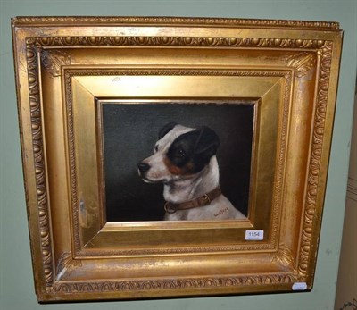 Lot 1154 - Edward Aistrop (19th century) Portrait of a Jack Russell, signed, oil on canvas, 23.5cm by 28.5cm