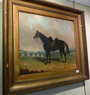 Lot 1182 - Attributed to Samuel Spode (1798-1872) Portrait of a horse standing in a military camp wearing...