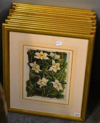 Lot 1219 - A set of fourteen botanical lithographs depicting various specimens 31cm by 23cm each (14)