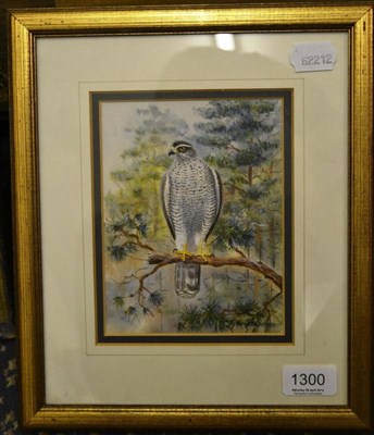 Lot 1300 - Richard Robjent (b.1937) ";Goshawk";, signed and dated 1982, inscribed verso, pencil and...