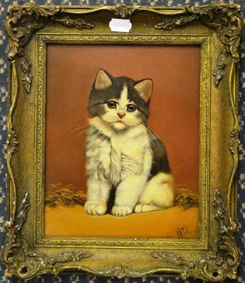 Lot 1328 - Agnes Augusta Talboys (d.1940) A study of a seated cat, signed, oil on panel, 28cm by 22cm