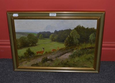 Lot 1378 - Prof Johann Christopher Drahtmann (German 1856-1932) Roe deer by a track in a wooded landscape,...