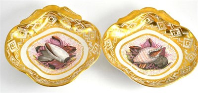 Lot 164 - Pair of early 19th century Coalport shell-decorated dessert dishes, 20cm wide