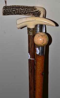 Lot 271 - Cane with boar tusk handle; another with ball knop and another with antler top (3)