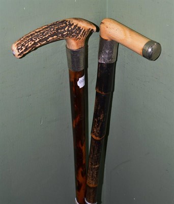 Lot 274 - An antler topped Leopard wood cane and another with ivory handle