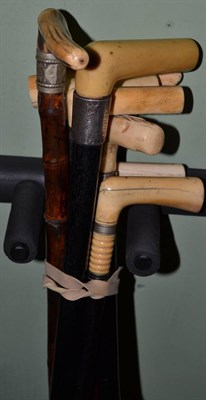 Lot 492 - Seven assorted walking sticks with horn and antler handles, some with silver ferrules