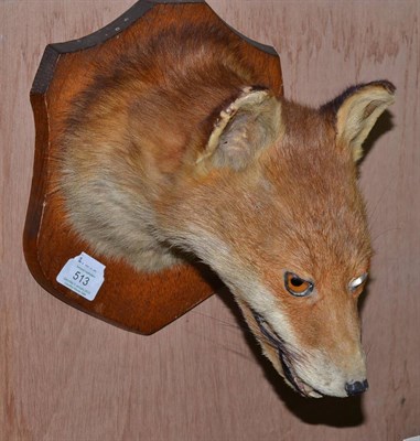 Lot 513 - Taxidermy fox mask bearing paper label to verso 'F E Potter, Taxidermy, Leicester'