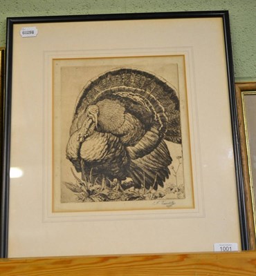 Lot 1001 - Charles Frederick Tunnicliffe RA, RE, ARCA (1901-1979) ";Turkey";, signed in pencil, dated...