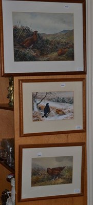 Lot 1039 - C S Todd (20th century) Grouse amongst heather on a moorland, signed and dated 1962,...