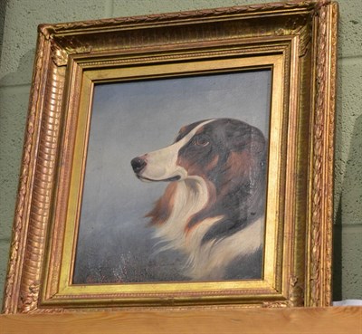 Lot 1043 - Colin Graeme Roe (fl.1858-1910) Head study of Collie beside heather, signed, oil on canvas, 30cm by