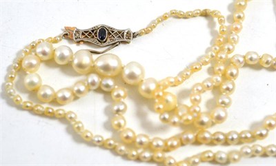 Lot 229 - A cultured pearl necklace with a sapphire and diamond clasp, the graduated pearls knotted to...