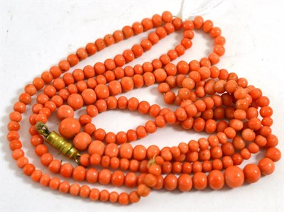 Lot 241 - Two coral bead necklaces, both of graduated off-round beads, lengths 56cm each (approximately) (2)