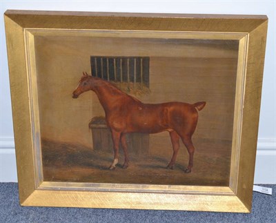 Lot 1134 - John Vine of Colchester (1808-1867) A chestnut horse standing in a stable, signed, oil on...