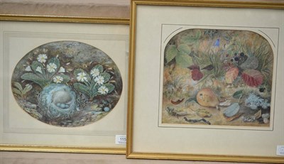 Lot 1150 - Circle of William Cruickshank (fl.1866-1879) A still life of a birds nest and primroses on a...