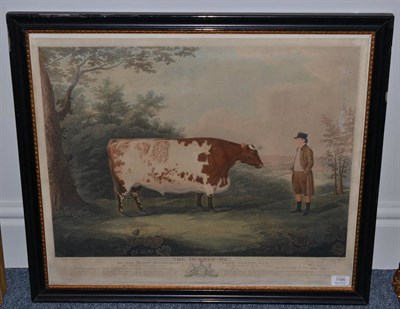 Lot 1195 - J Whessell after John Boultbee ";The Durham Ox";stipple engraving with hand colouring, 53cm by...