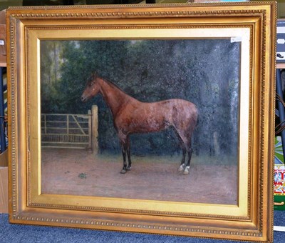 Lot 1202 - Edgar Bingley (19th/20th century) Portrait of a horse standing, signed and dated 1899, oil on...