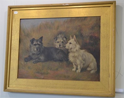 Lot 1234 - Florence Jay (fl.1905-20) Three terriers at rest in heather, signed and dated 1911, oil on...