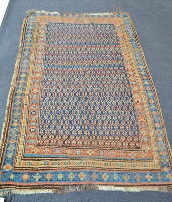 Lot 1845 - Azeri rug, Persian Azerbaijan, the indigo field with rows of boteh enclosed by triple narrow...