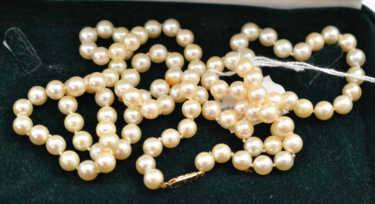 Lot 18 A string of cultured pearls, knotted to an