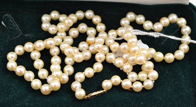 Lot 18 - A string of cultured pearls, knotted to an engraved catch, length 95cm