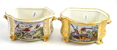 Lot 202 - A matched pair of Derby porcelain bough pots, circa 1830, of Bombe form with scroll handles and...