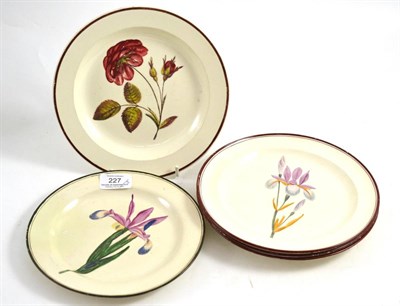 Lot 227 - A set of three creamware plates painted with named botanical specimens, 21cm diameter and two...