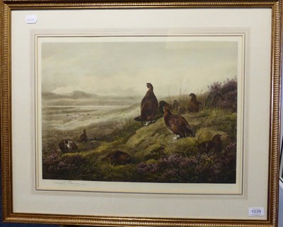 Lot 1039 - After Archibald Thorburn (1860-1935) Red Grouse, signed in pencil, a colour reproduction, 35.5cm by