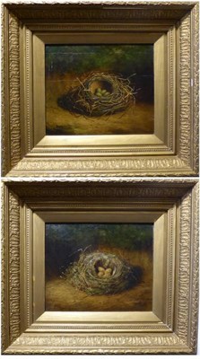 Lot 1055 - Benjamin Hold (1839-1917) Still life of a birds nest on a mossy bank and another, signed, oil...