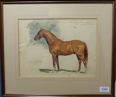 Lot 1089 - Denis Aldridge (1898-1995) Study of a chestnut horse, signed, inscribed and dated 1970, pencil...