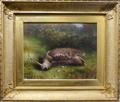 Lot 1127 - Abel Hold (fl.1849-1871) Study of a dead woodcock in the undergrowth, signed and dated 1866?,...