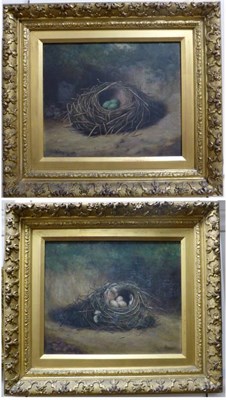 Lot 1132 - Benjamin Hold (1858-1917) Still life of a birds nest on a mossy bank, signed, oil on canvas,...