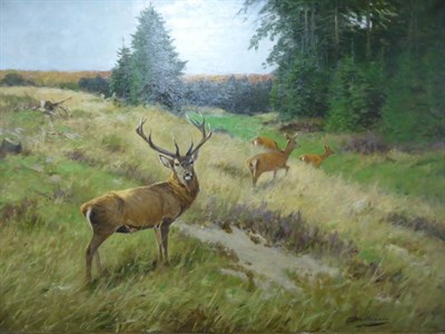 Lot 1140 - Prof Johann Christopher Drahtmann (1856-1932) German, Deer on the edge of a forest, signed, oil...