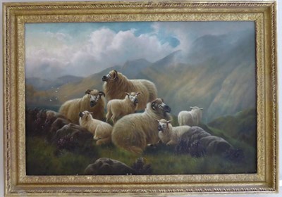 Lot 1168 - W P Hollyer (1834-1932) Sheep in a highland landscape, signed, oil on canvas, 49.5cm by 74cm