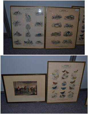 Lot 1323 - A set of three leaves colour prints titled 'Fishers', 'Birds of Great Britain' and 'Butterflied and