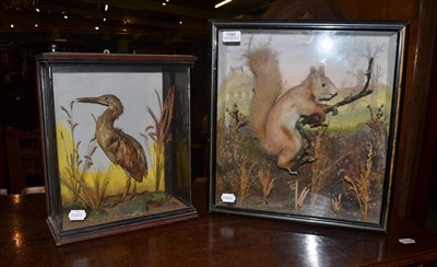 Lot 1390 - A late Victorian taxidermy example of a heron in a glazed frame, together with a red squirrel...