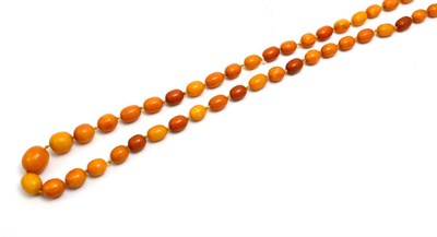 Lot 62 - # An amber necklace, of graduated barrel shaped beads, length 87cm approximately