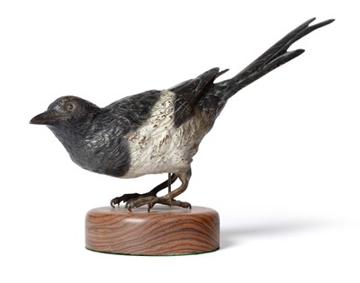 Lot 118 - Large cold painted bronze of a standing magpie, height 23cm