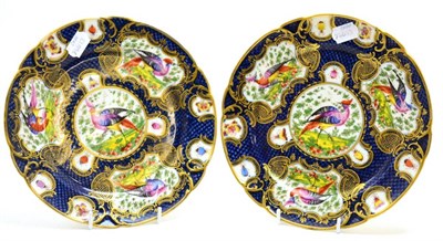 Lot 132 - A pair of Samson of Paris plates circa 1900 in an 18th century style, diameter 25cm