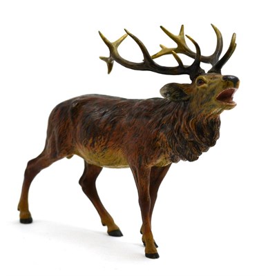 Lot 483 - An Austrian cold painted bronze figure modelled as a red stag, height 17cm