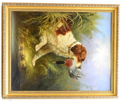 Lot 1017 - Follower of William Woodhouse (1857-1937) A springer spaniel retrieving a duck, oil on canvas,...
