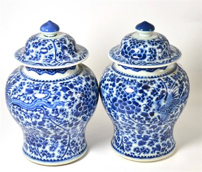 Lot 439 - A pair of 19th century Chinese jars and covers, painted in underglaze blue with phoenix amongst...