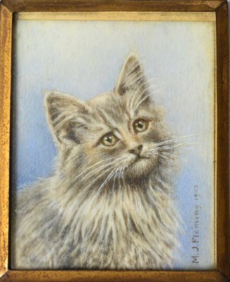 Lot 566 - M.J. Fleming, portrait of a cat, miniature on ivory, signed and dated 1902, 6.3cm by 5cm