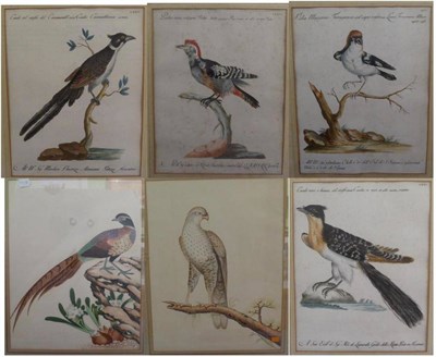 Lot 1007 - A group of six hand coloured prints of ornithological subject matter, 35cm by 28cm and various...