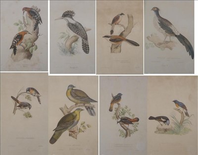 Lot 1013 - ^ Hullmandel after Gould, ";Vinago Militaris (Green Pidgeon) coloured lithograph, together with...