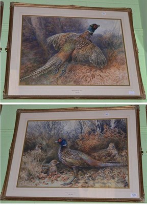 Lot 1029 - George Anderson Short (1856-1945) Pheasant cock and hens in vegetation; Pheasant taking off in...