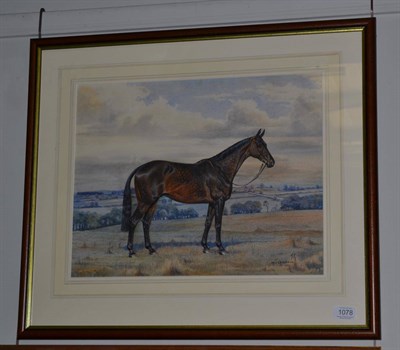 Lot 1078 - Dorothy Margaret (1900-1992) & Elizabeth Mary Alderson (1900- 1988) A bay horse standing in an...