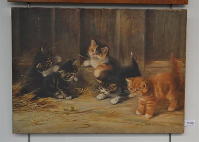 Lot 1086 - Ada Eliza Tucker (exh. 1881-1928) Kittens playing with a snail, signed and dated 1895, oil on...